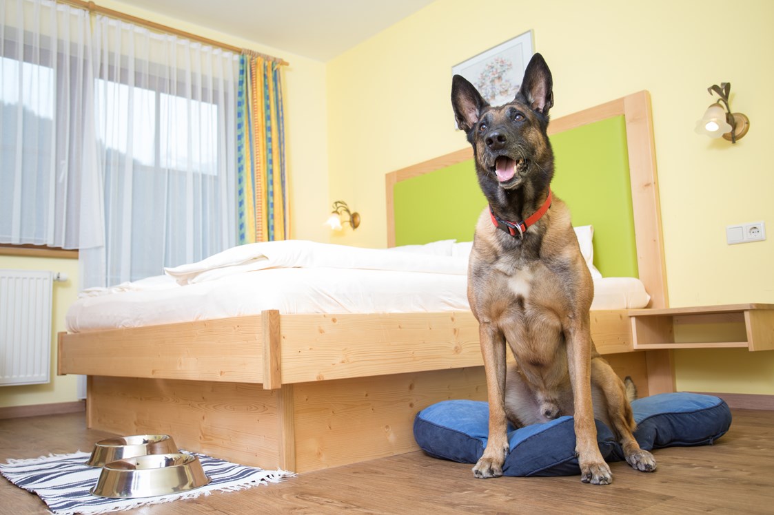 Urlaub-mit-Hund: Doppelzimmer - Hotel Grimming Dogs & Friends