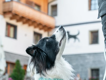 Hundehotel - WLAN - Berchtesgaden - Das Hundehotel Grimming - Hotel Grimming Dogs & Friends