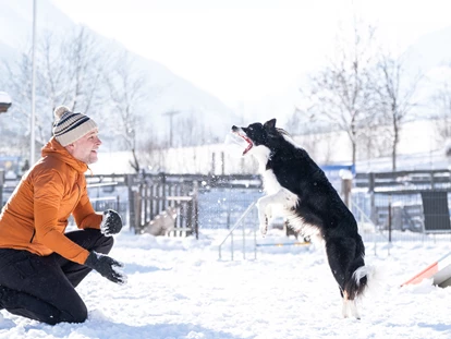 Hundehotel - WLAN - Berchtesgaden - Urlaub auf 4 Pfoten - Hotel Grimming Dogs & Friends