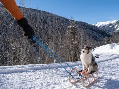 Hundehotel - WLAN - Berchtesgaden - Winter in Rauris - Hotel Grimming Dogs & Friends