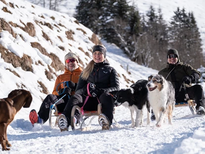 Hundehotel - WLAN - Berchtesgaden - Schneespass mit hunden - Hotel Grimming Dogs & Friends