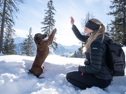 Hundehotel - WLAN - Berchtesgaden - Zeit mit dem besten Freund - Hotel Grimming Dogs & Friends