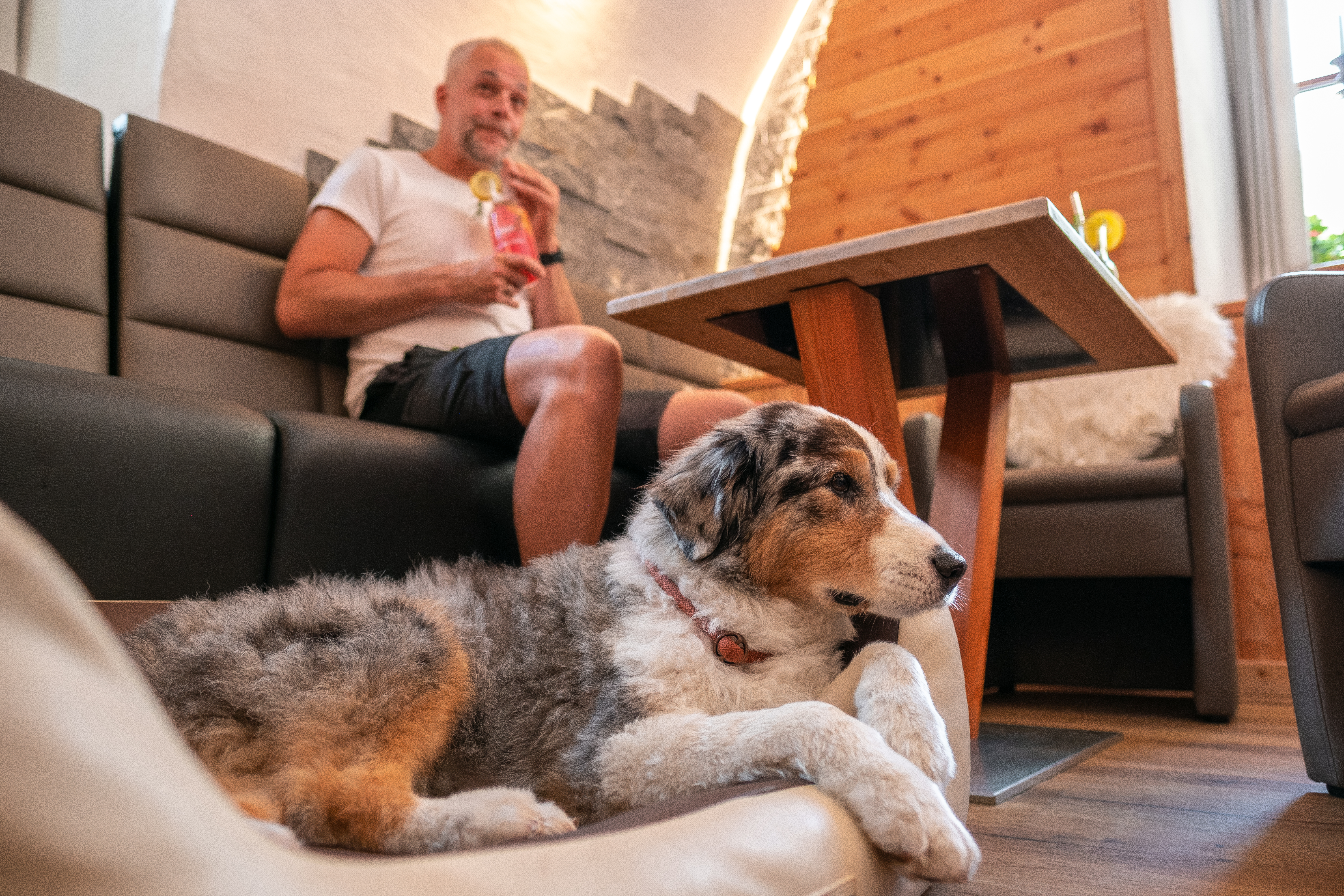 Urlaub-mit-Hund: Unsere Stube - Hotel Grimming Dogs & Friends