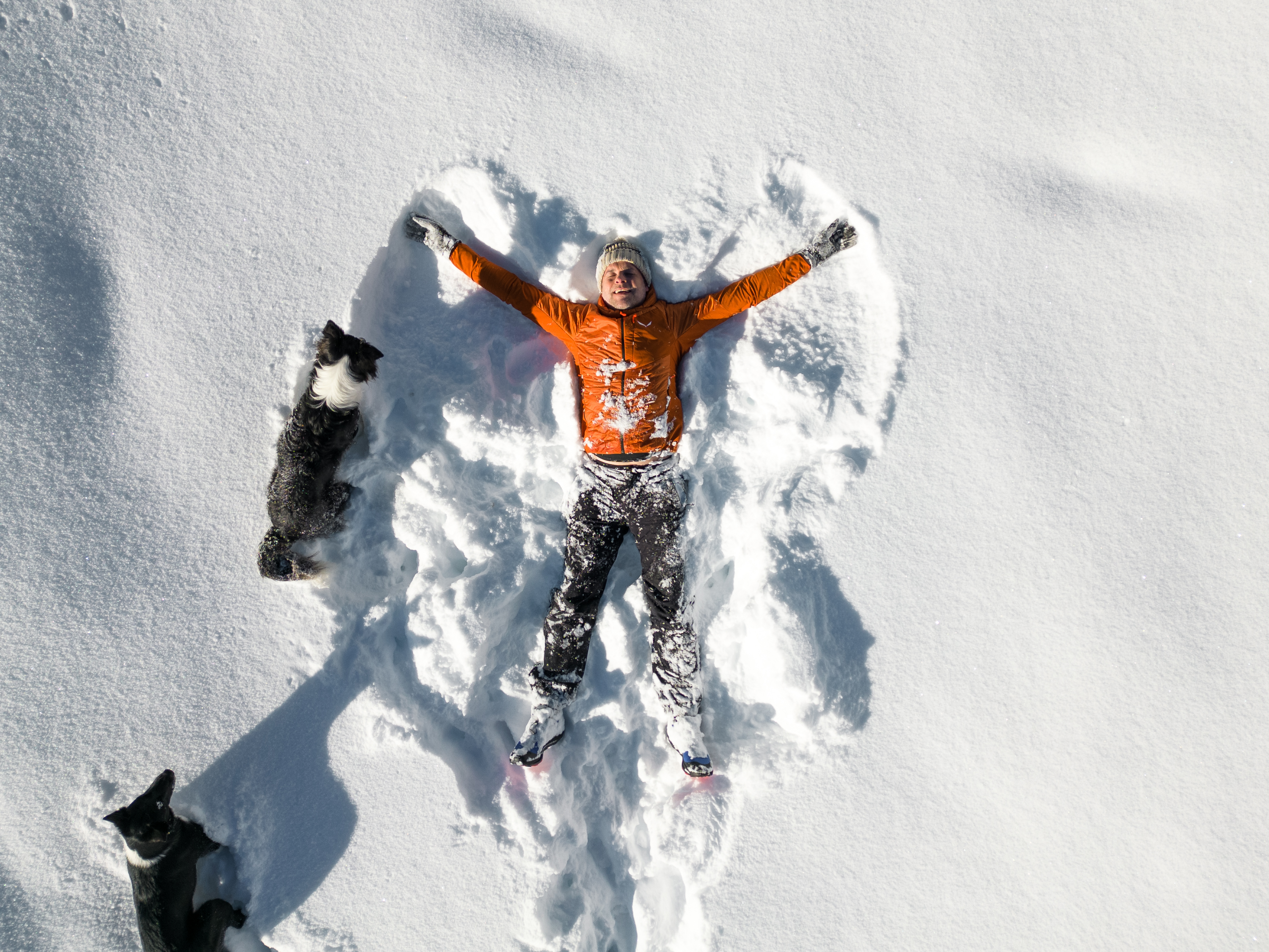 Urlaub-mit-Hund: Schnee-Liebe - Hotel Grimming Dogs & Friends