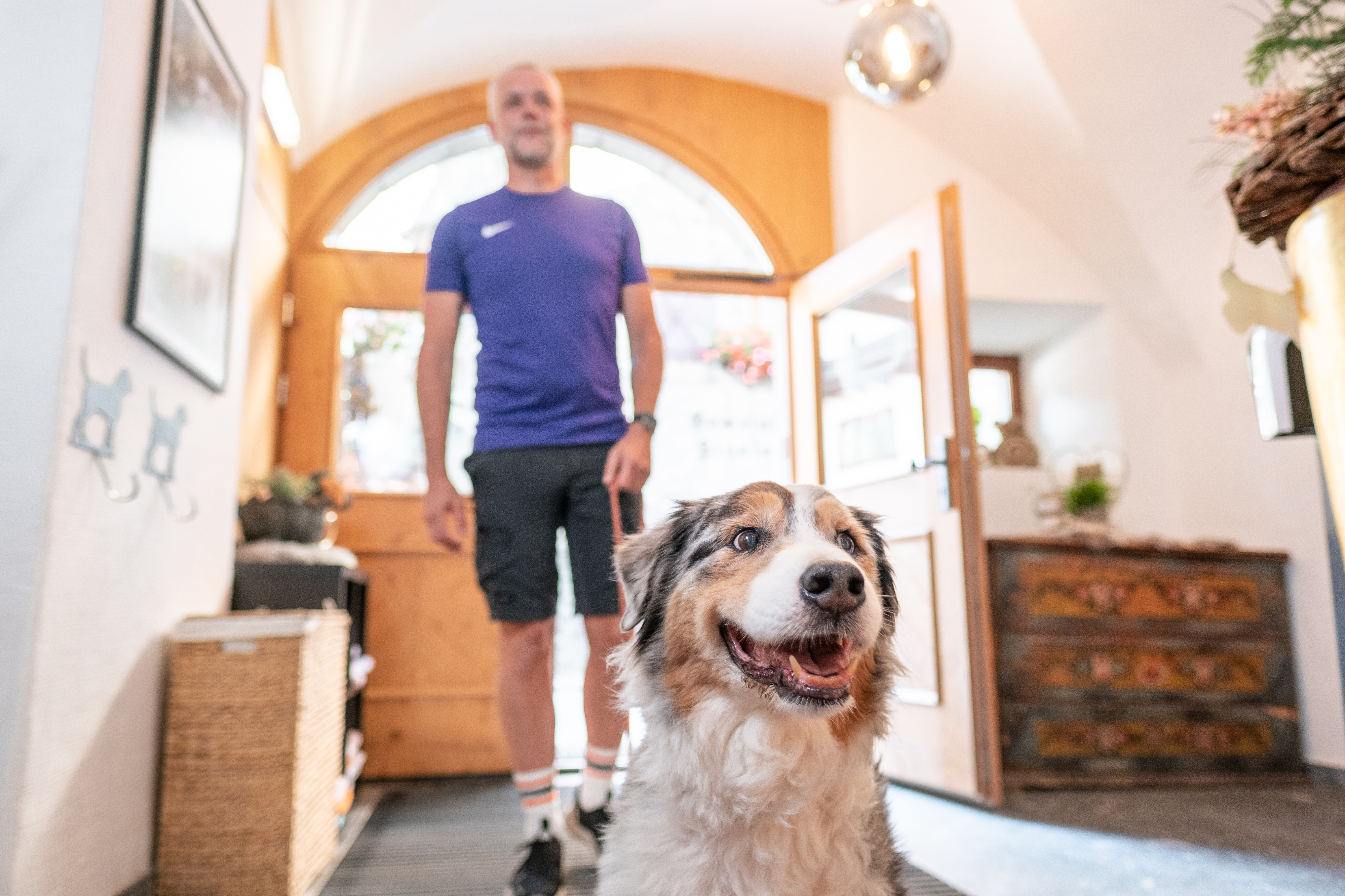 Urlaub-mit-Hund: Ankommen im Urlaub mit Hund - Hotel Grimming Dogs & Friends