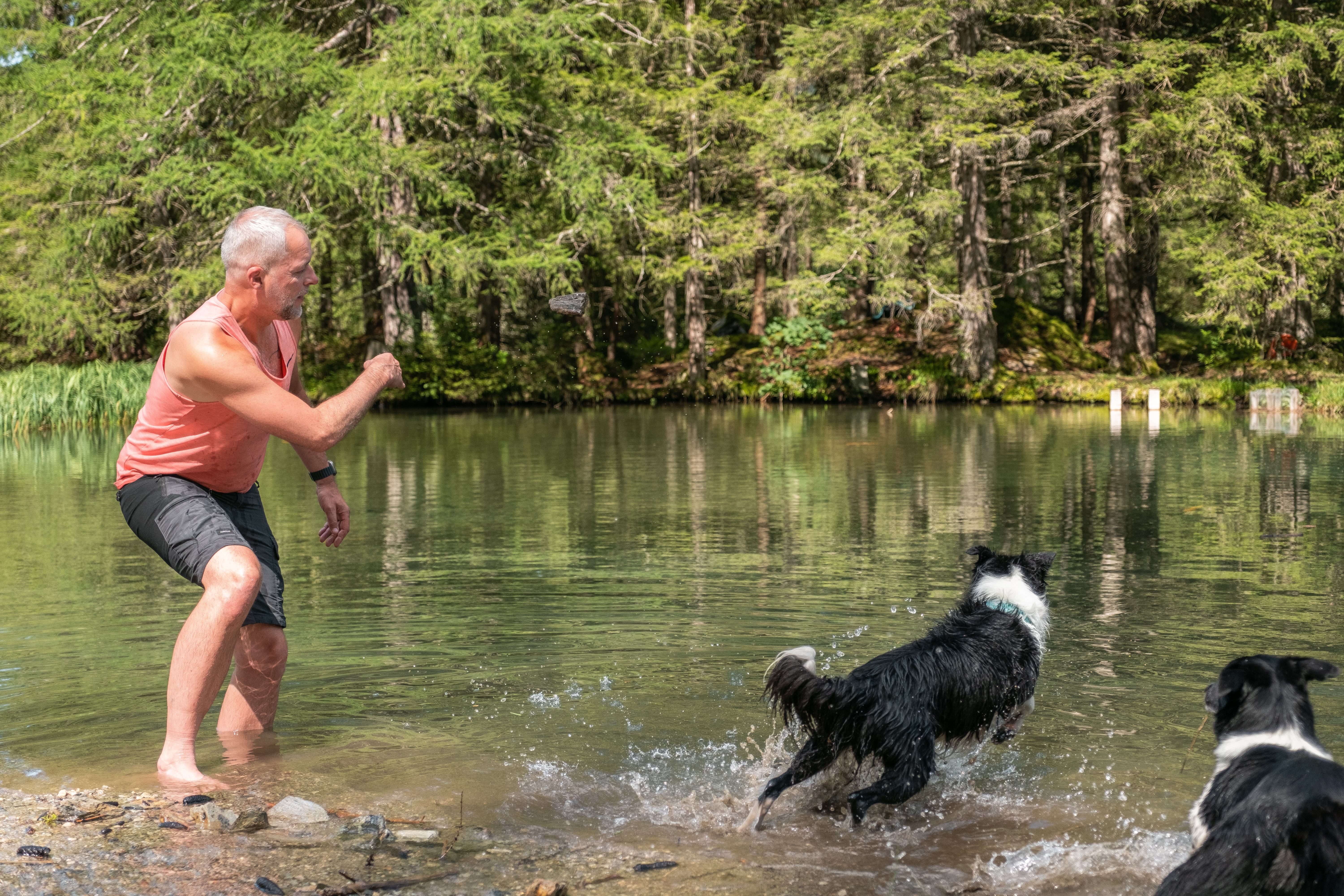 Urlaub-mit-Hund: Seen und Täler im Raurisertal - Hotel Grimming Dogs & Friends