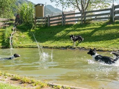 Hundehotel - WLAN - Berchtesgaden - Das Dogcenter - Hotel Grimming Dogs & Friends