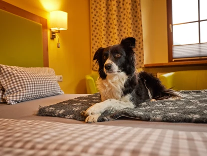 Hundehotel - WLAN - Berchtesgaden - Unsere Zimmer - Hotel Grimming Dogs & Friends