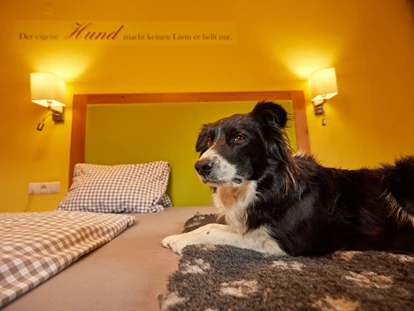 Hundehotel - WLAN - Berchtesgaden - Zimmer mit Hund - Hotel Grimming Dogs & Friends