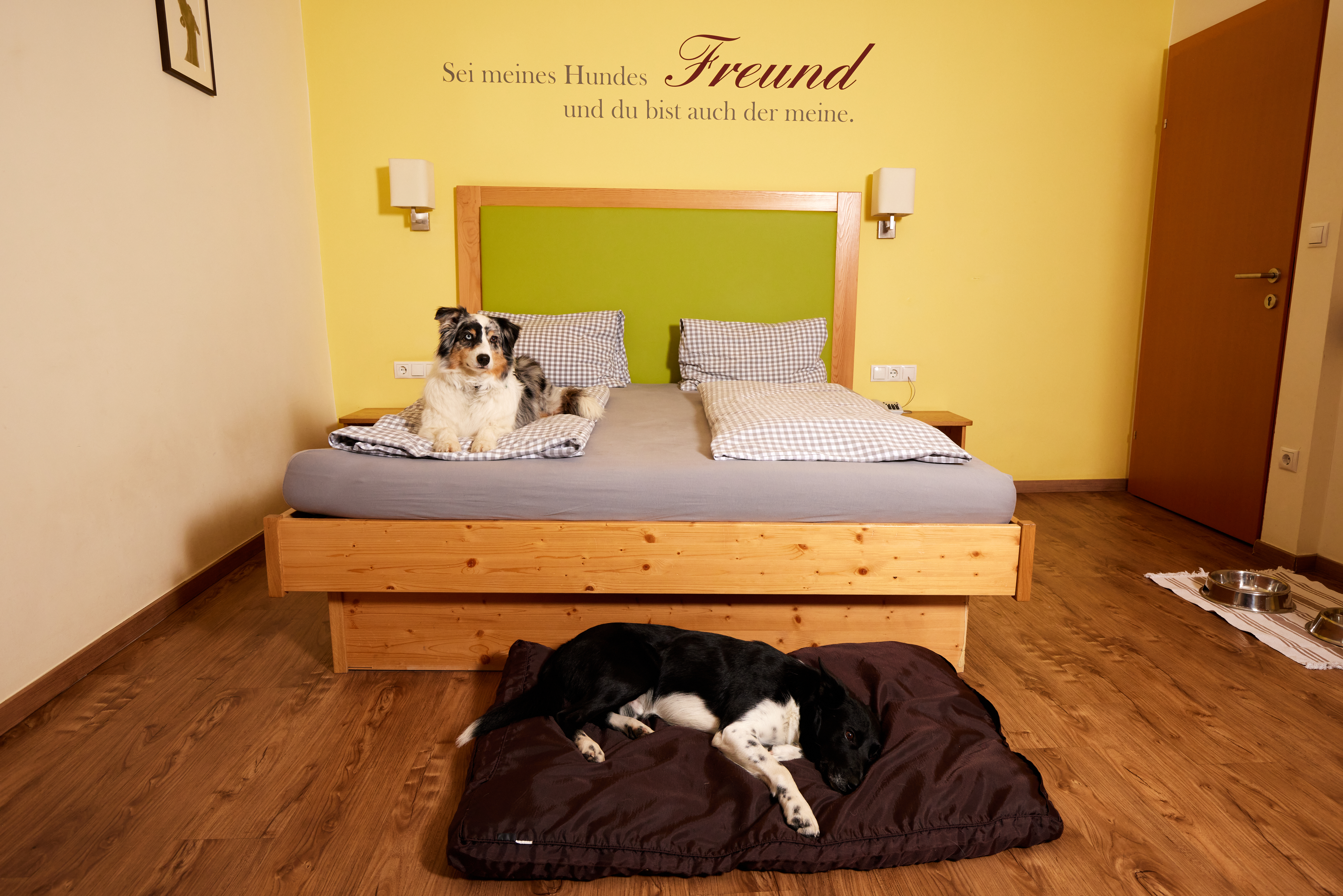 Urlaub-mit-Hund: Unsere Zimmer mit Hunden - Hotel Grimming Dogs & Friends