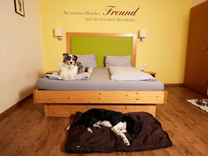 Hundehotel - WLAN - Berchtesgaden - Unsere Zimmer mit Hunden - Hotel Grimming Dogs & Friends