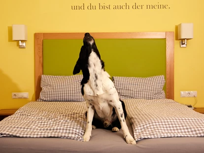 Hundehotel - WLAN - Berchtesgaden - ein Hundetraum - Hotel Grimming Dogs & Friends
