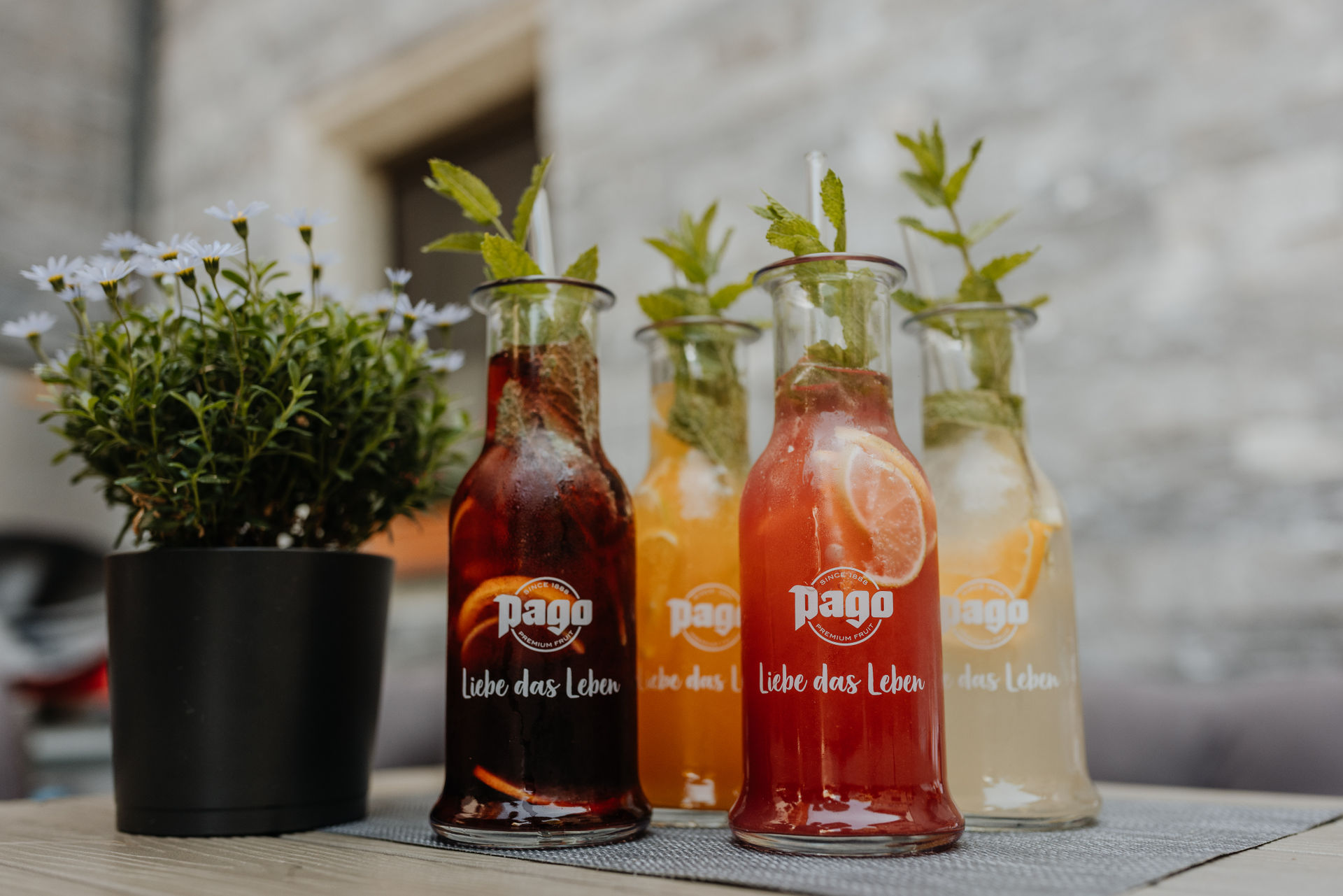 Urlaub-mit-Hund: Lecker Drinks und Cocktails - Hotel Grimming Dogs & Friends