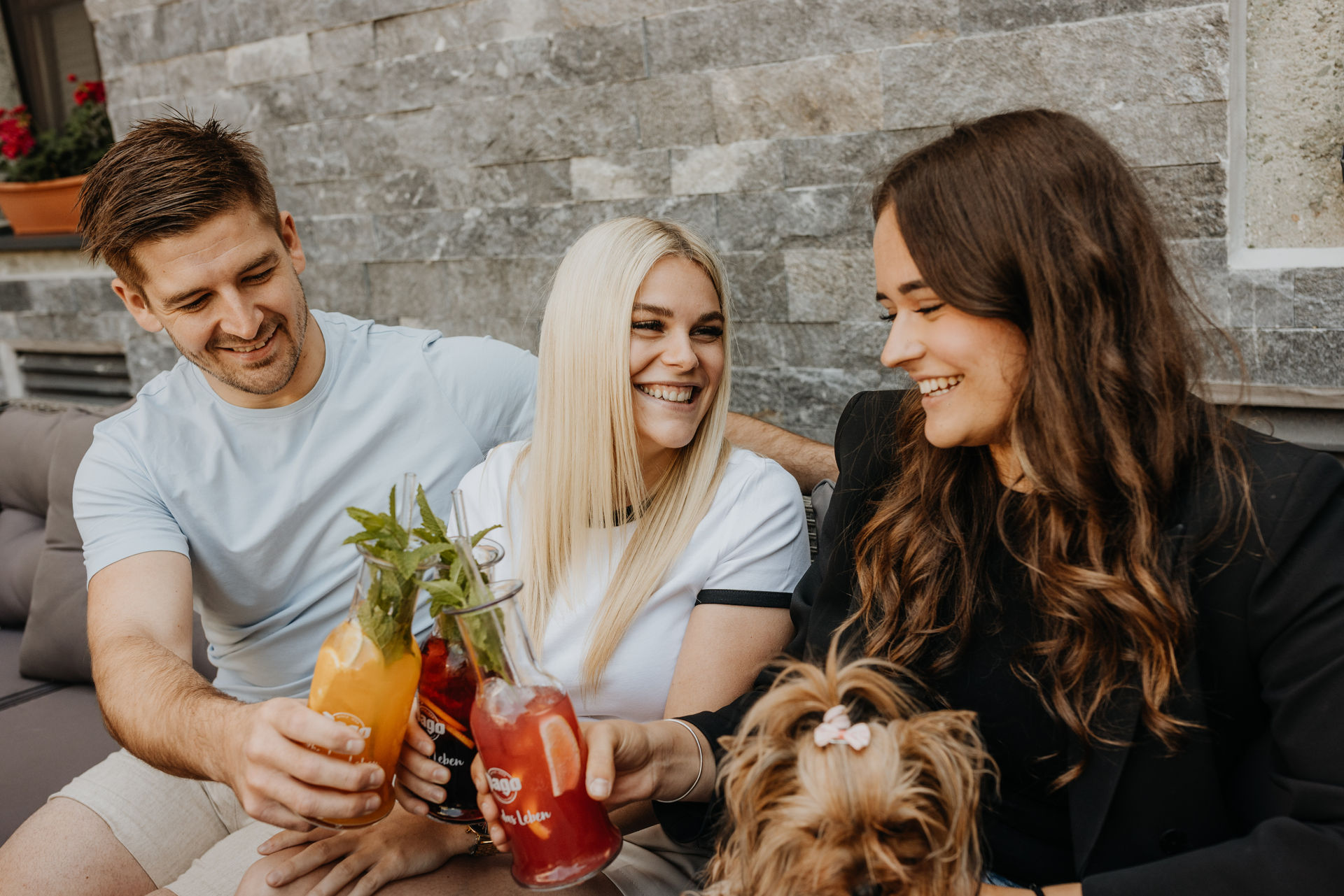 Urlaub-mit-Hund: Gemeinsamer Abend - Hotel Grimming Dogs & Friends