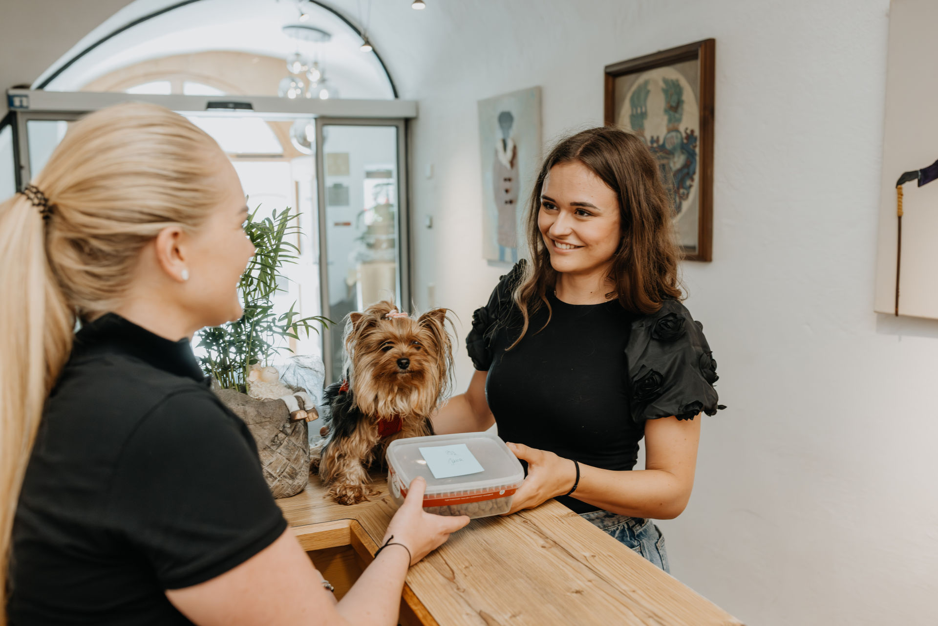 Hundehotel - Check in - Hotel Grimming Dogs & Friends