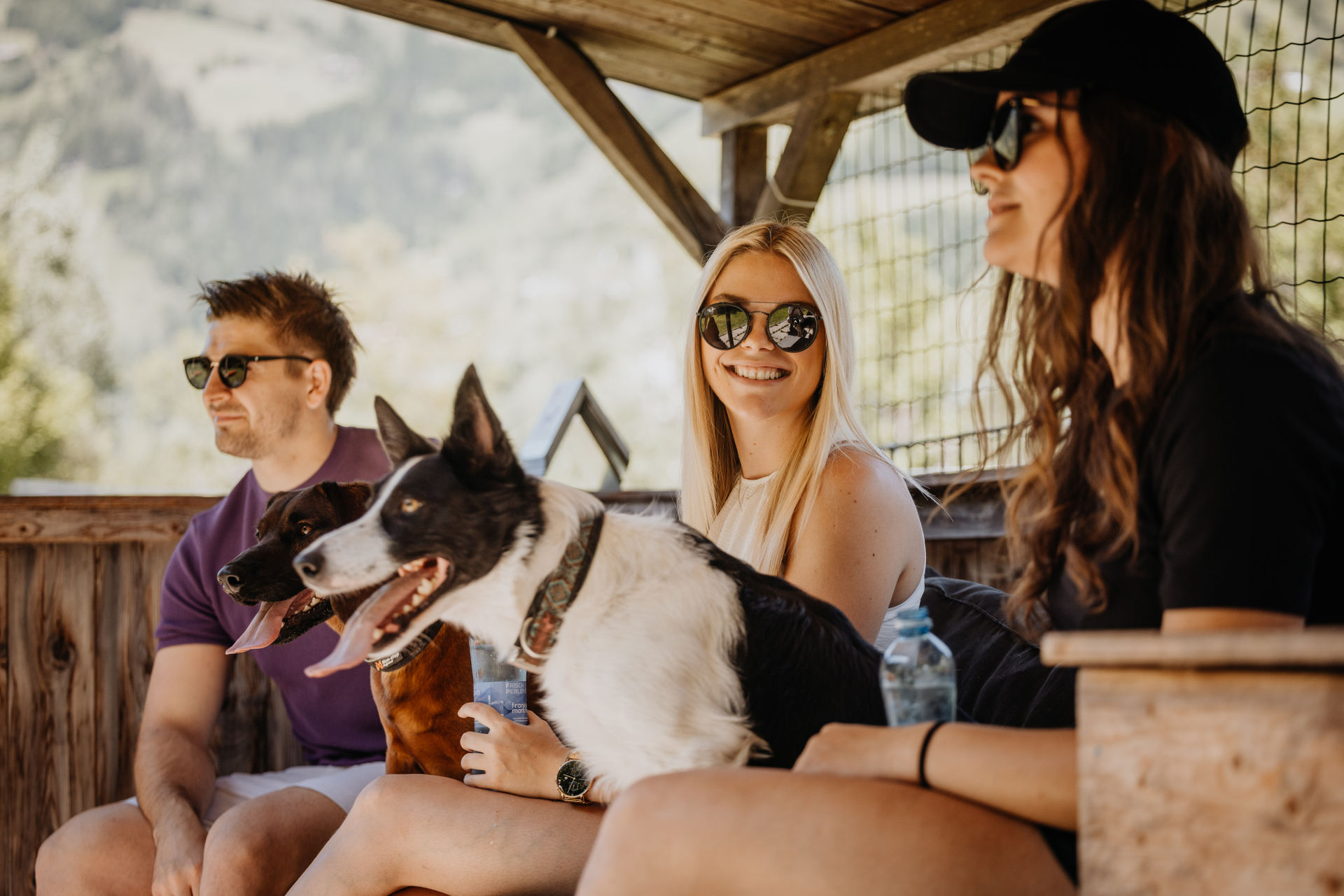 Urlaub-mit-Hund: Pause am Hundeplatz - Hotel Grimming Dogs & Friends