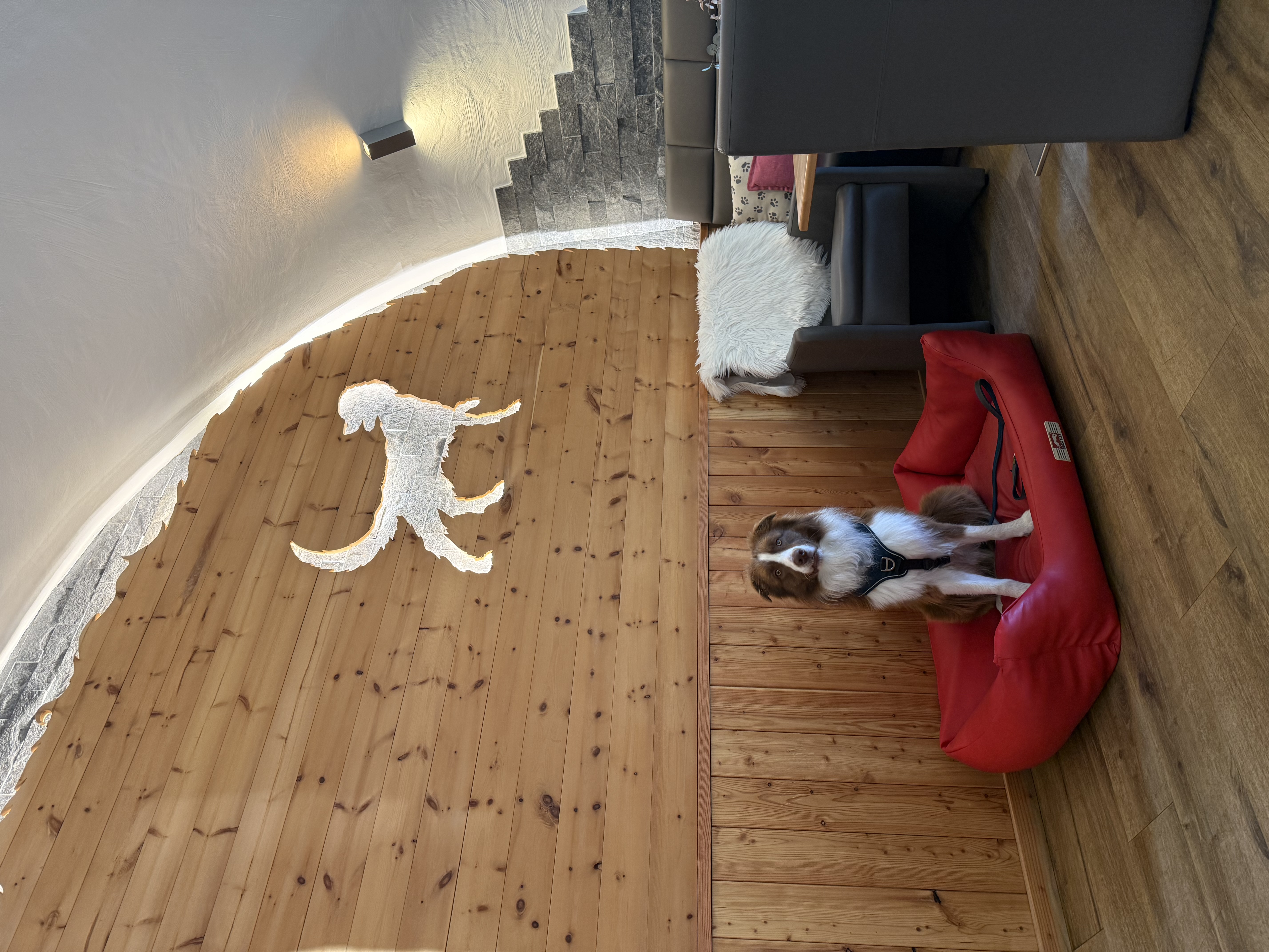 Urlaub-mit-Hund: Die Stube  - Hotel Grimming Dogs & Friends
