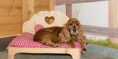 Hundehotel - Dogsitting - Pinzgau - Hundebett - Hotel Grimming Dogs & Friends