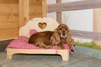 Urlaub-mit-Hund: Hundebett - Hotel Grimming Dogs & Friends