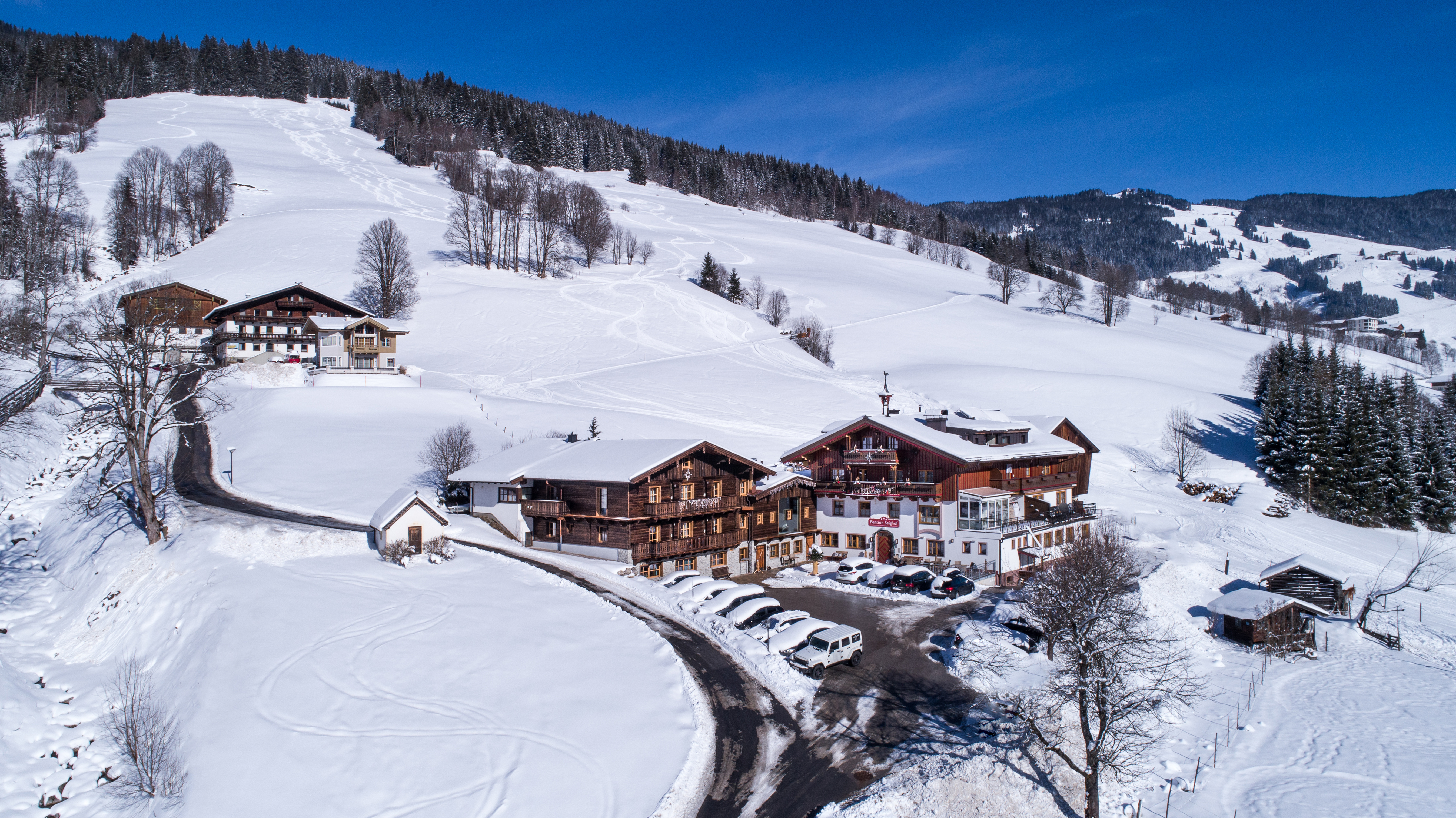 Urlaub-mit-Hund: Hotel-Pension Seighof