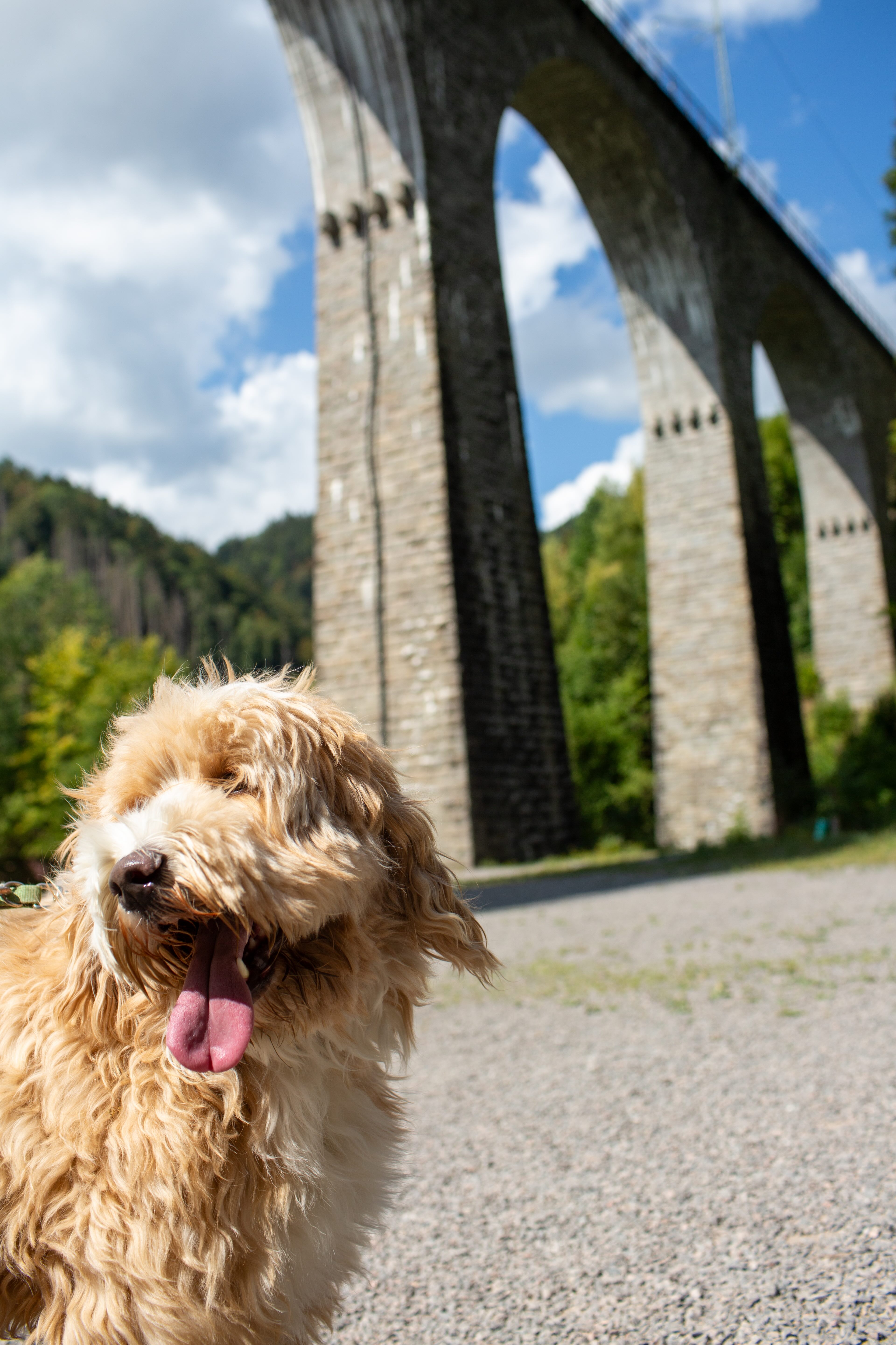 Urlaub-mit-Hund: Hotel Hofgut Sternen - Haus | Umgebung