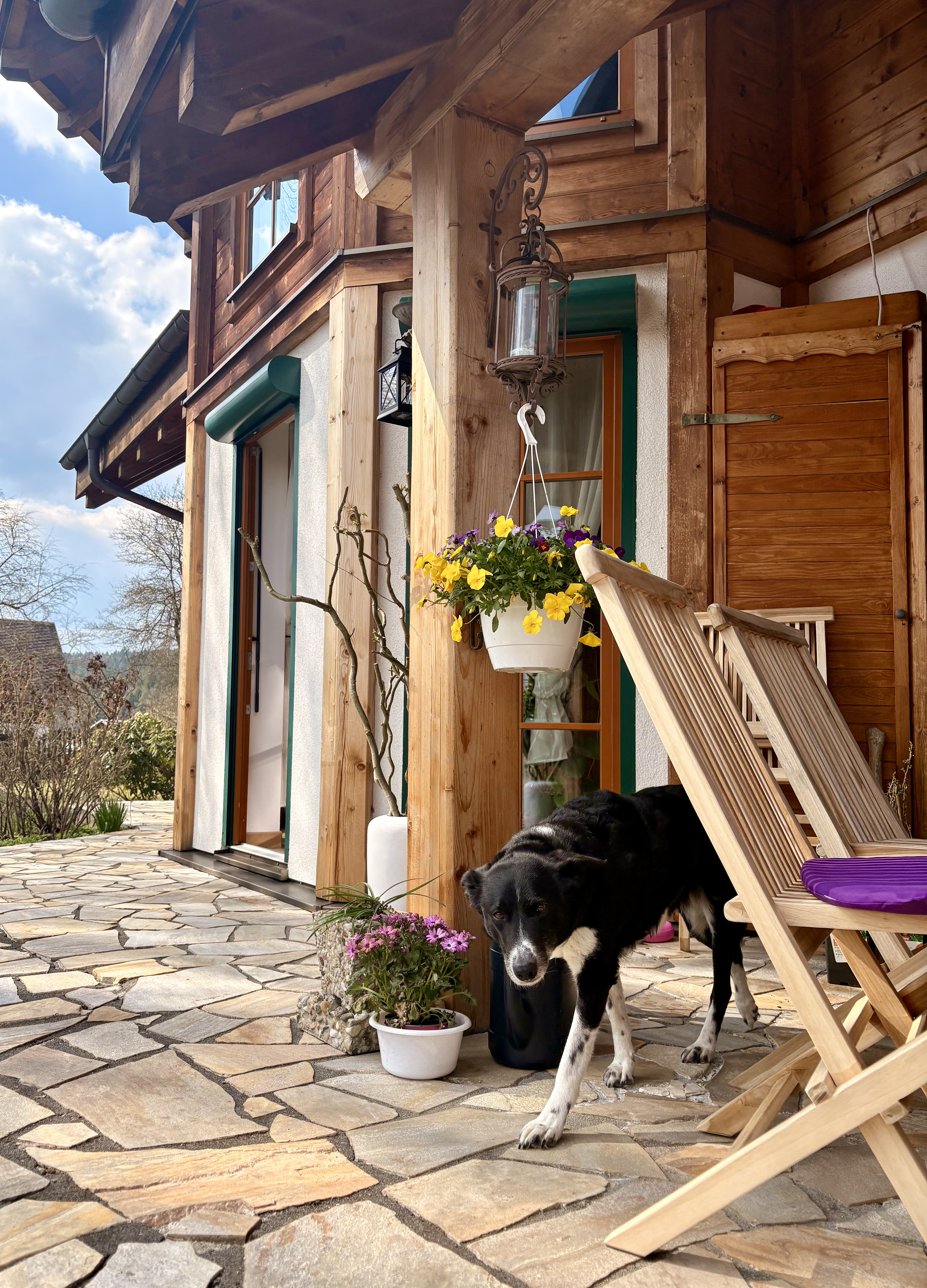 Ferienhaus mit Hund: LaDolceVital 