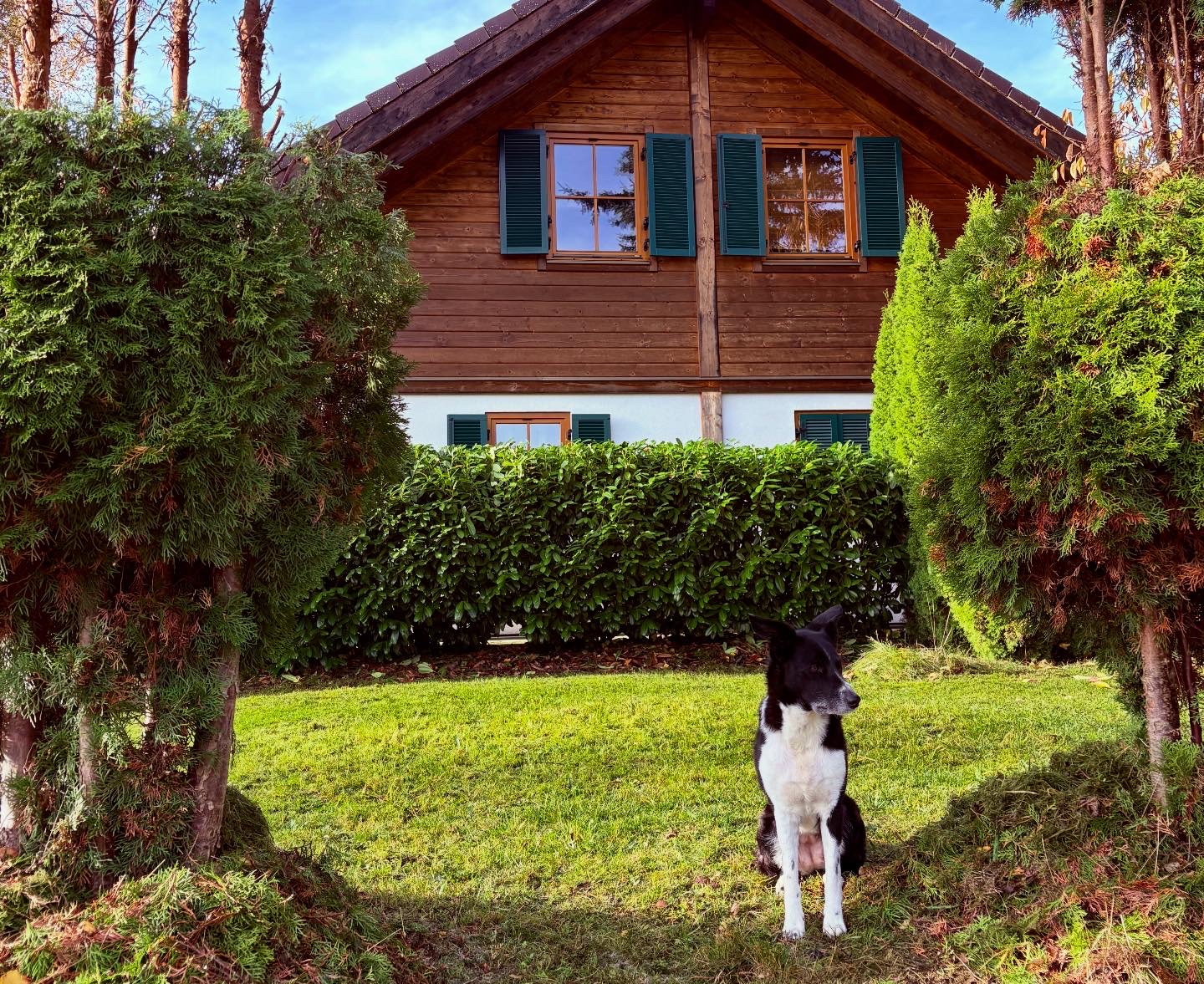 Ferienhaus mit Hund: LaDolceVital 