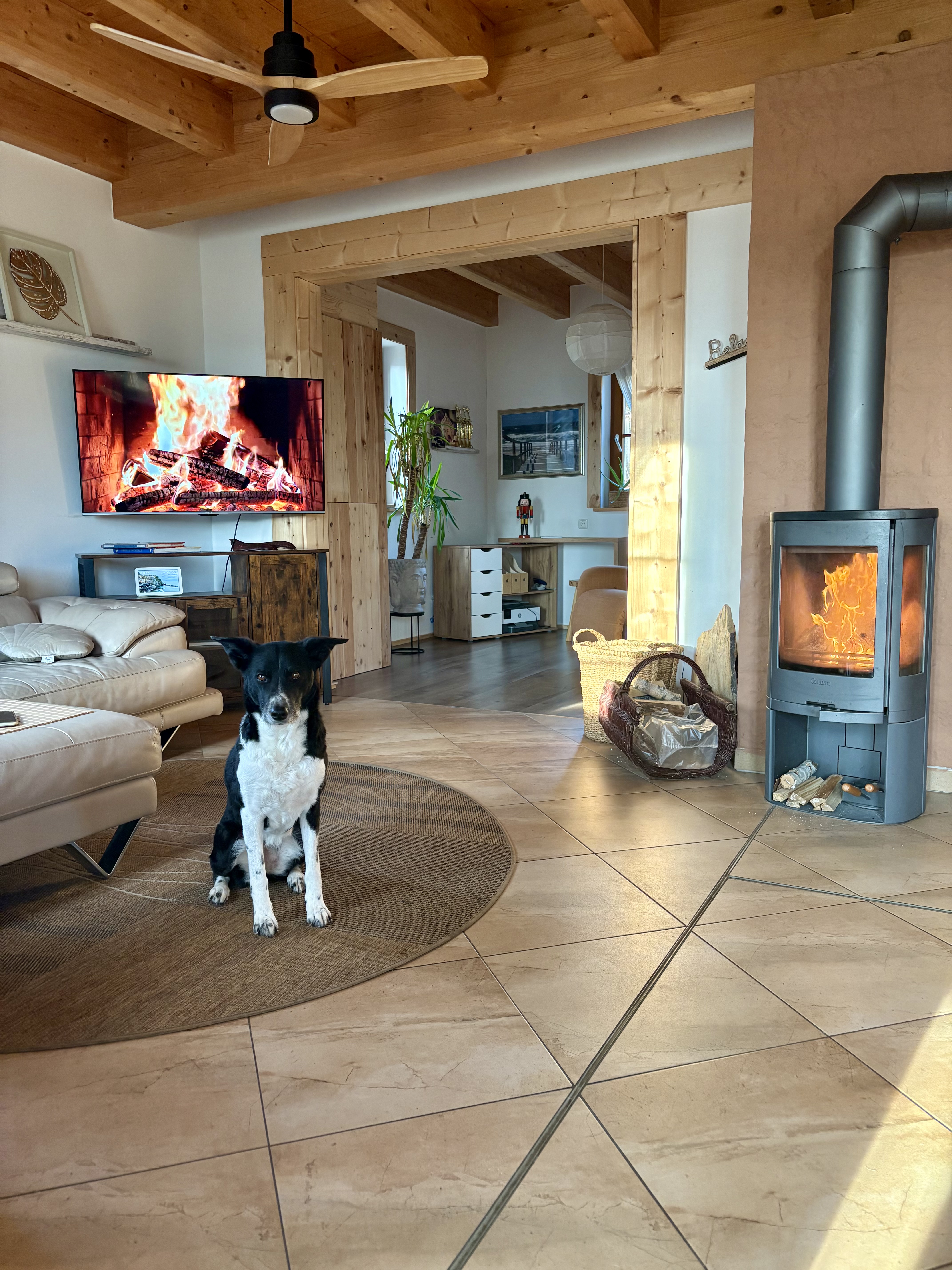 Ferienhaus mit Hund: LaDolceVital 