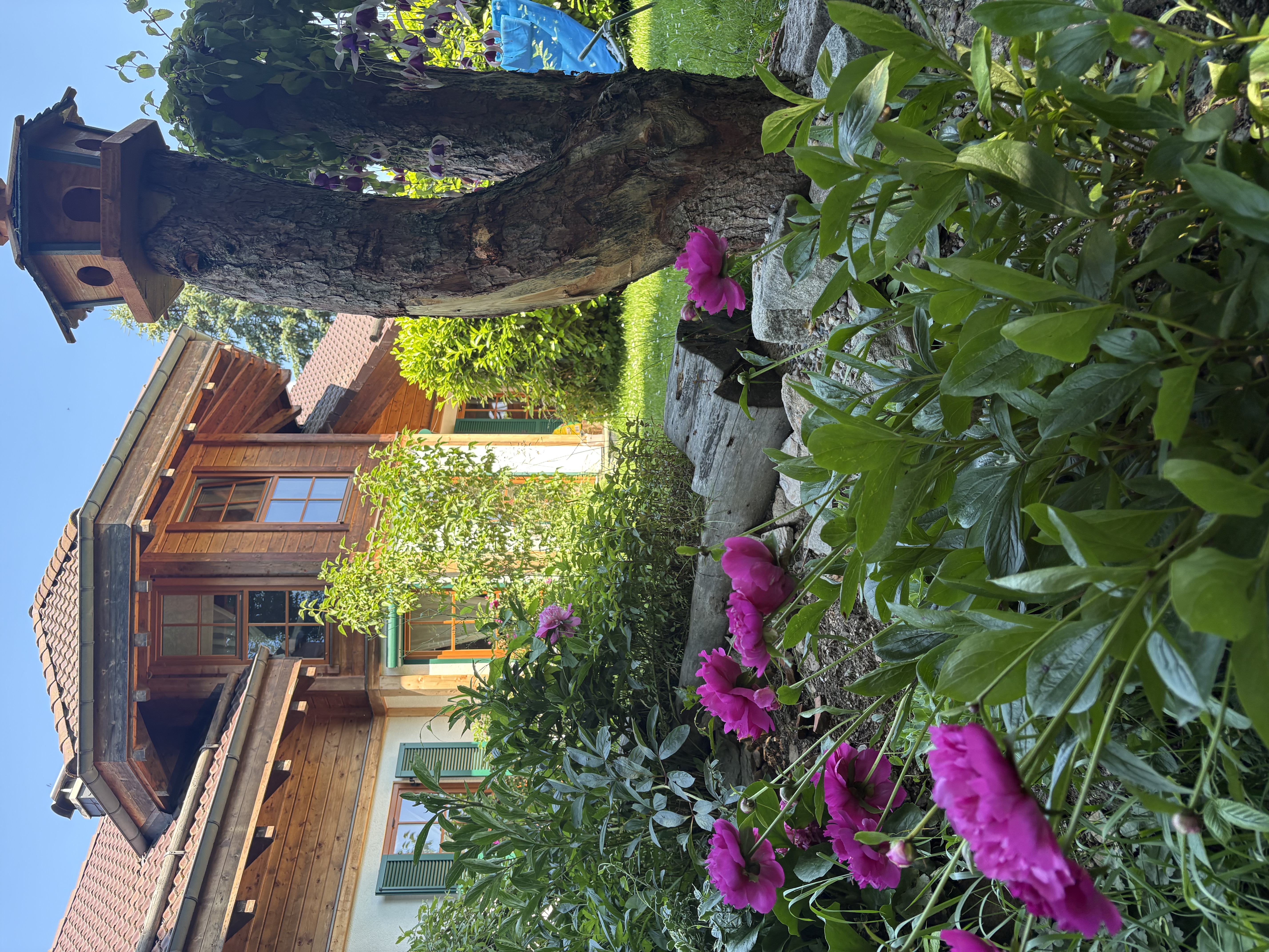 Ferienhaus mit Hund: LaDolceVital 