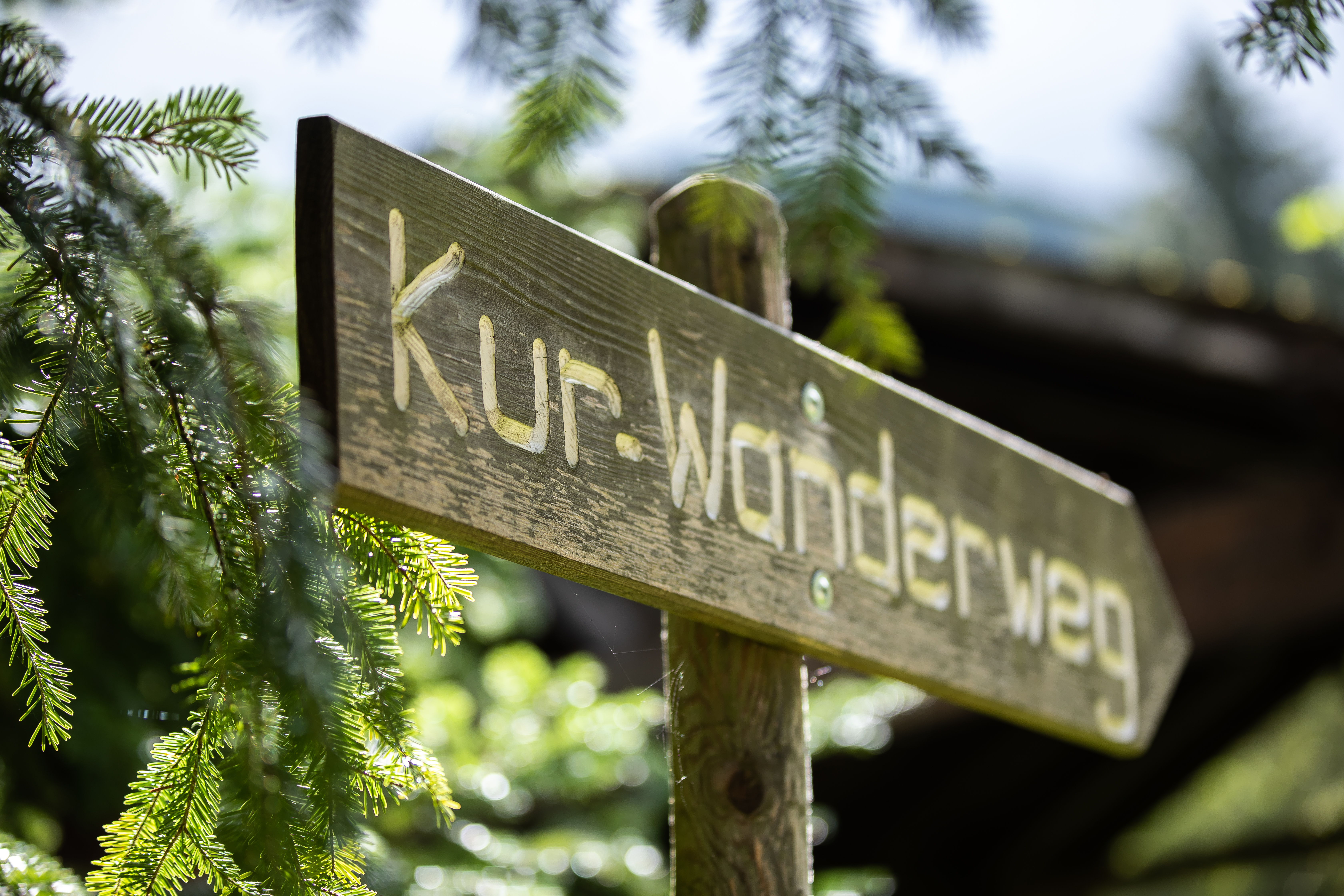 Urlaub-mit-Hund: OptimaMed Gesundheitsresort Salzerbad GmbH
