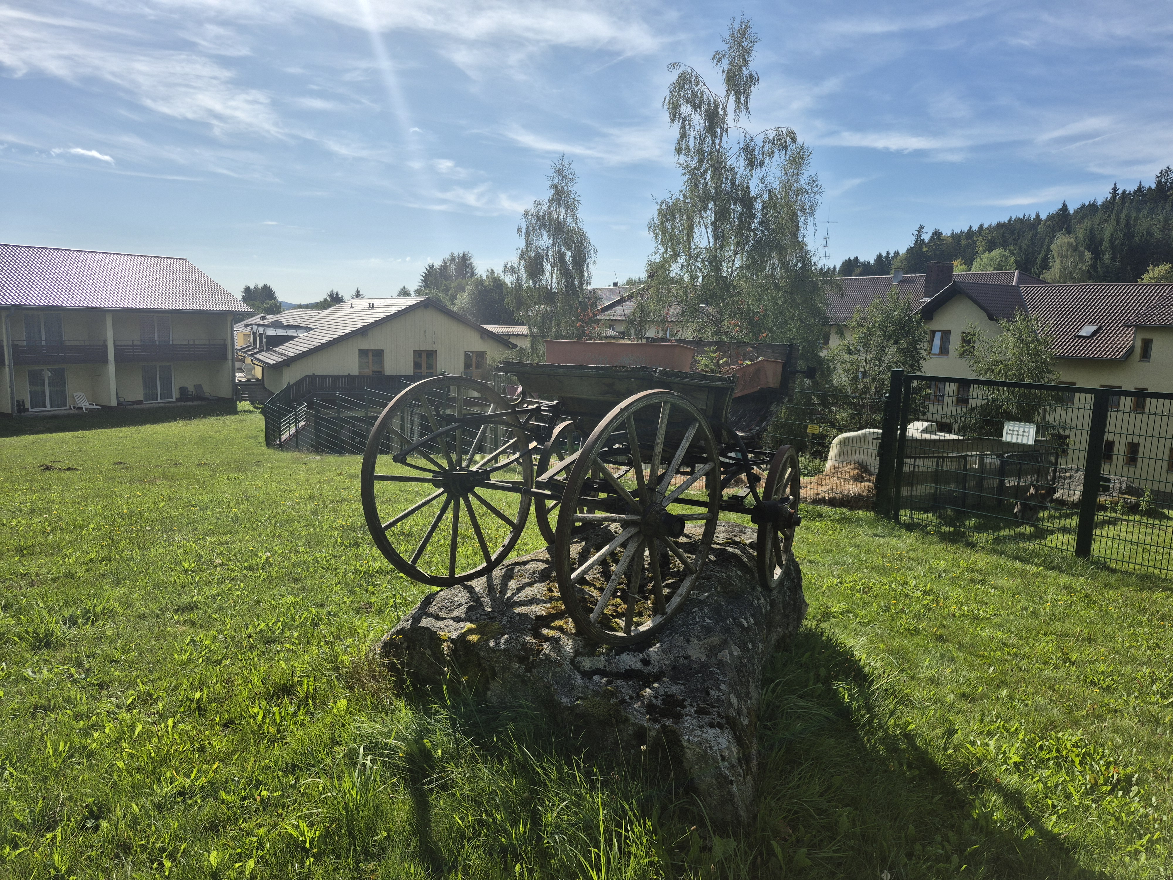 Hundehotel - Umgebungsschwerpunkt: Berg - Ostbayern - Hundewiese - Aktivresort-Bischofsmais