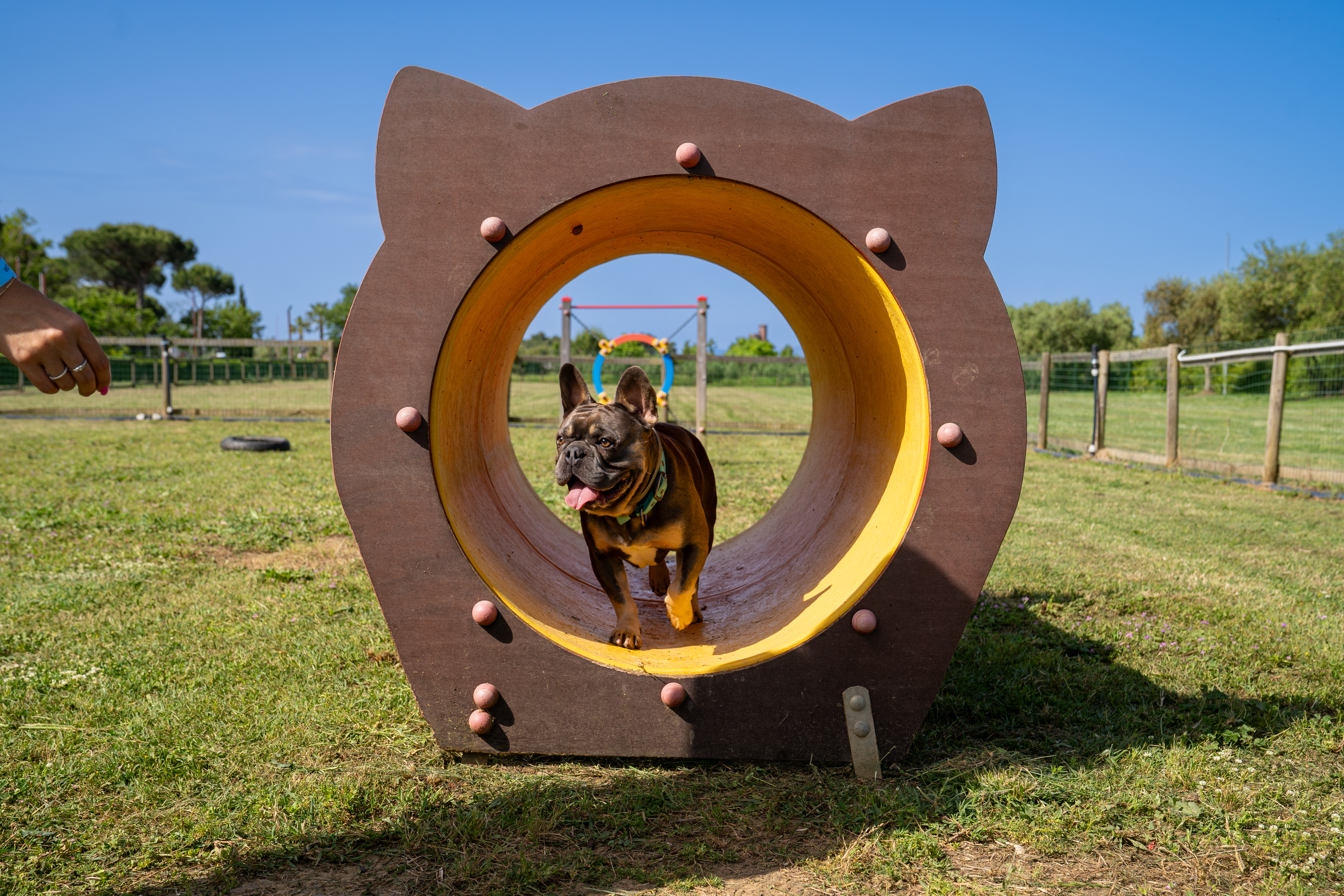 Urlaub-mit-Hund: Hundebereich - Pappasole Camping Village - Urlaub mit Hund