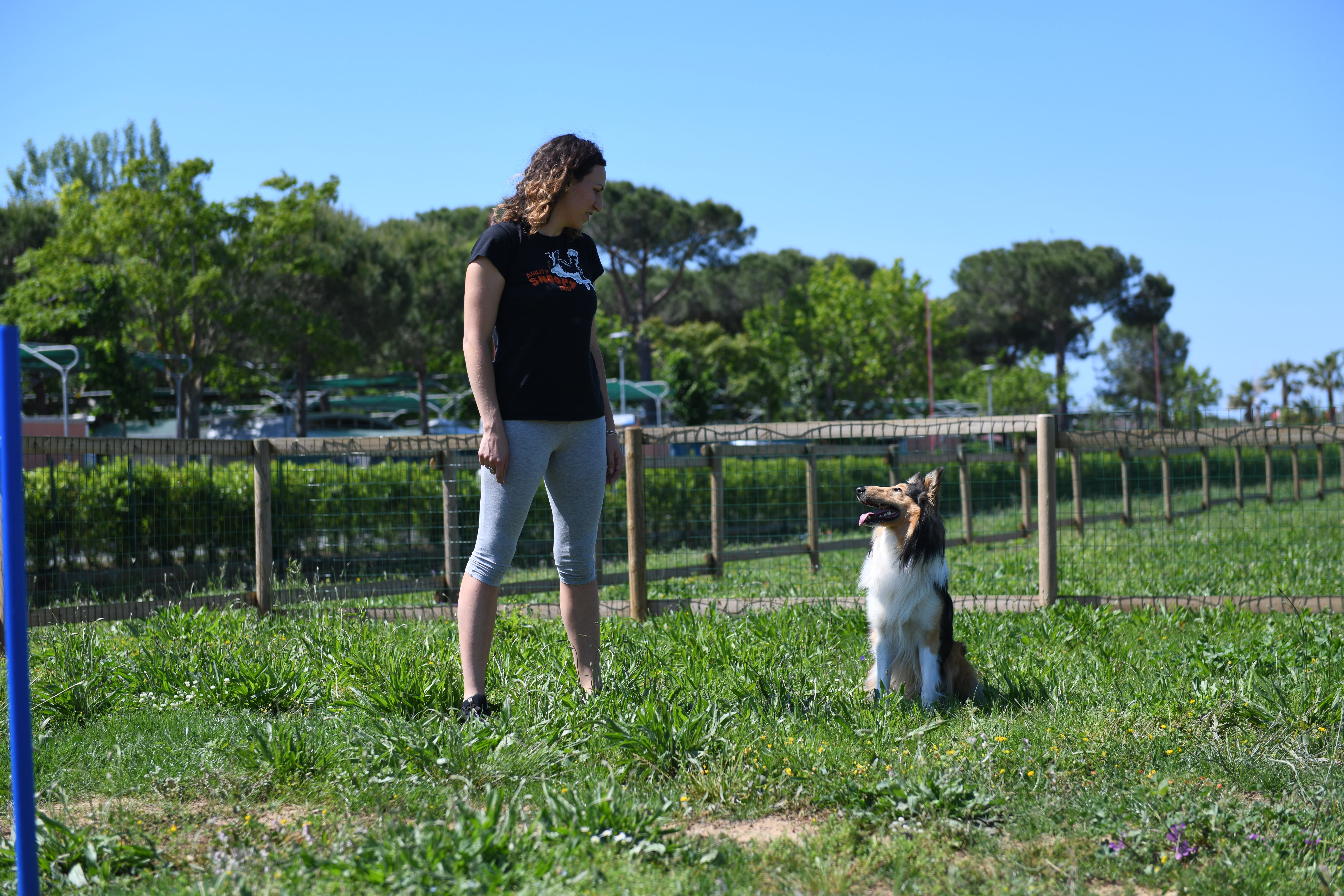 Urlaub-mit-Hund: Hundebetreuung - Pappasole Camping Village - Urlaub mit Hund