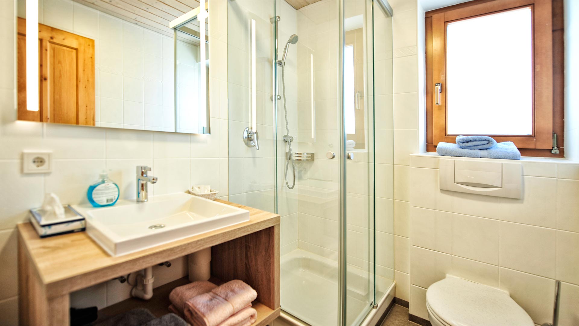 Ferienhaus mit Hund: Badzimmer mit Dusche, WC, Haartrockner und Kosmetikartikel inkl. Hand- & Duschtücher - Apart Gabriele Pure Alpin Style & Dog Love
