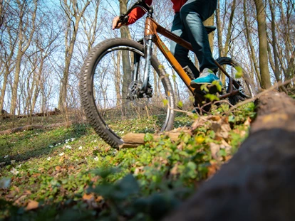 Hundehotel - Verpflegung: Halbpension - Mecklenburg-Vorpommern - Fahrradtouren mit Bambus-Bikes - Bornmühle