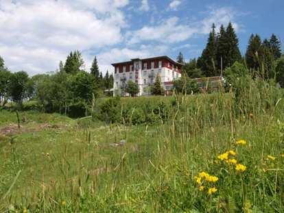 Hundehotel - Doggies: 3 Doggies - Außenansicht des Hotels  - Waldhotel am Notschreipass