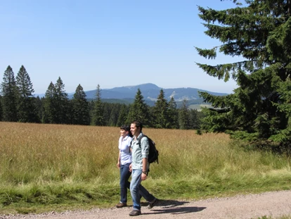 Hundehotel - Doggies: 3 Doggies - Wandern mit dem Hund  - Waldhotel am Notschreipass