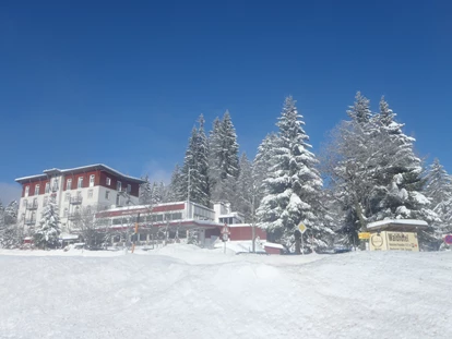 Hundehotel - Doggies: 3 Doggies - Winter Ansicht - Waldhotel am Notschreipass