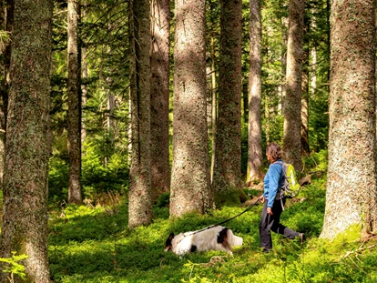 Hundehotel - Doggies: 3 Doggies - Waldhotel am Notschreipass
