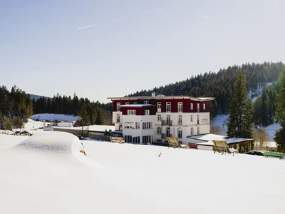Hundehotel - Doggies: 3 Doggies - Außenansicht im Winter - Waldhotel am Notschreipass