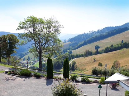 Hundehotel - Doggies: 3 Doggies - Terrassenausblick - Berghotel Wiedener Eck