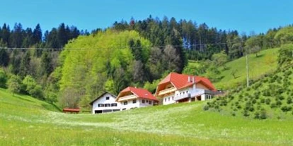 Hundehotel - Hundewiese: nicht eingezäunt - Oberharmersbach - Hofansicht  - Ferienwohnung Stinneshof