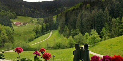 Hundehotel - Hundewiese: nicht eingezäunt - Oberharmersbach - Blick vom Balkon - Ferienwohnung Stinneshof