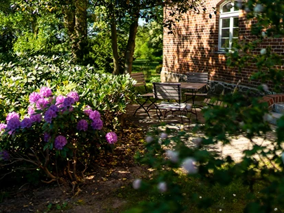 Hundehotel - Pools: Schwimmteich - Am Türmchen - Terrasse - Schloss Pütnitz