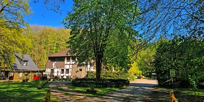 Hundehotel - Plau am See - Dat Waldhus - 6 Unterkünfte allein im Wald - Dat Waldhus