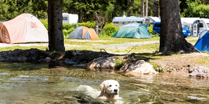 Hundehotel - Niederdorf (Trentino-Südtirol) - Caravan Park Sexten