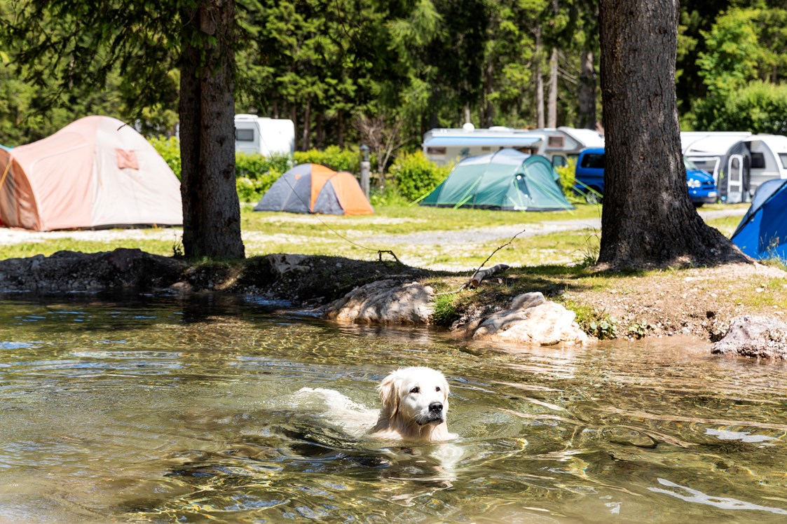 Urlaub-mit-Hund: Caravan Park Sexten