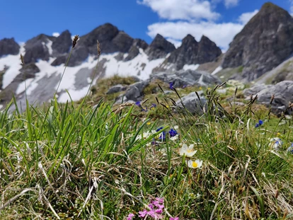 Hundehotel - Tauplitz - Zehnerkarspitze - Hotel Binggl Obertauern