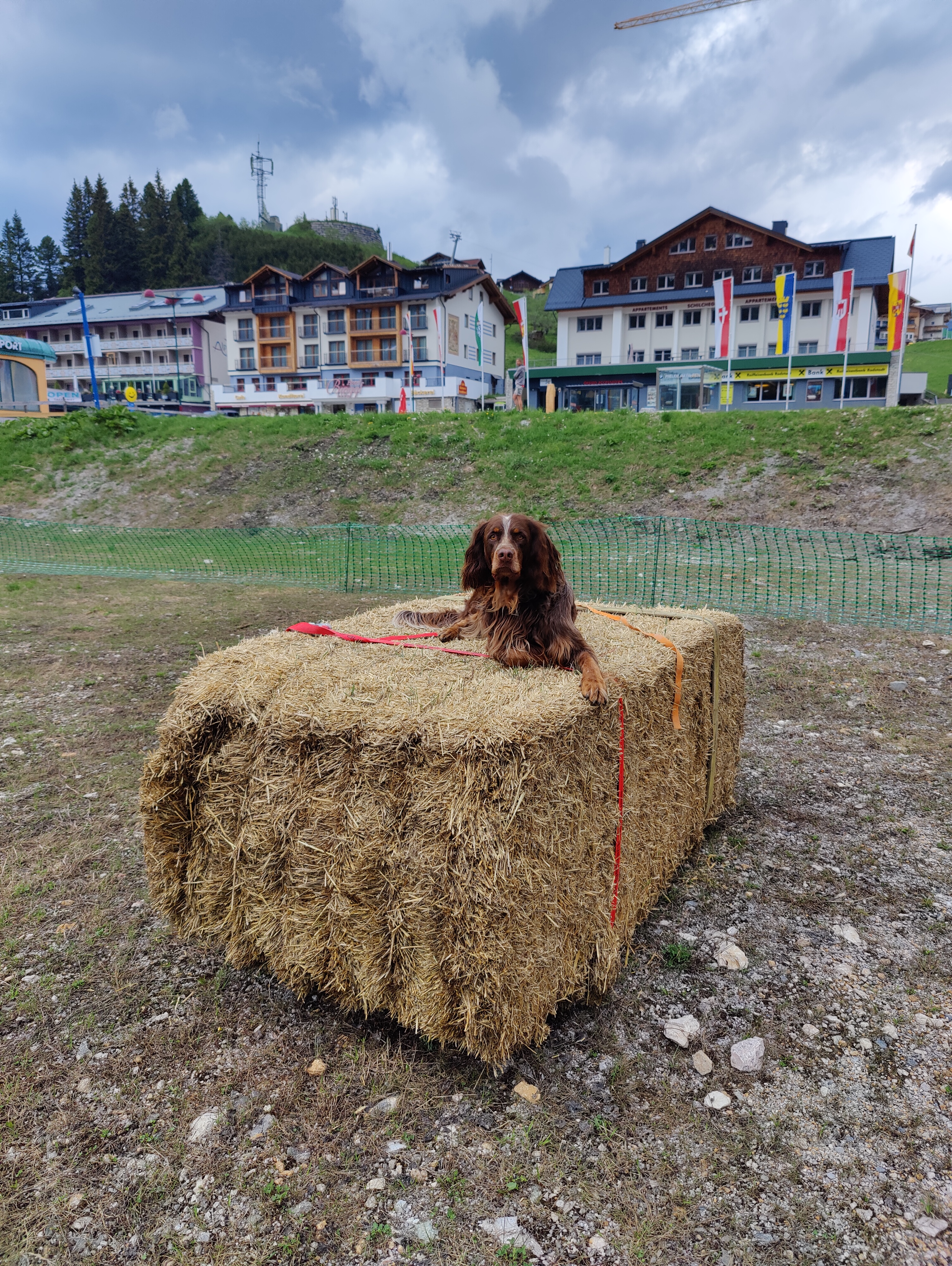 Urlaub-mit-Hund: Trainingsparcour - Hotel Binggl Obertauern