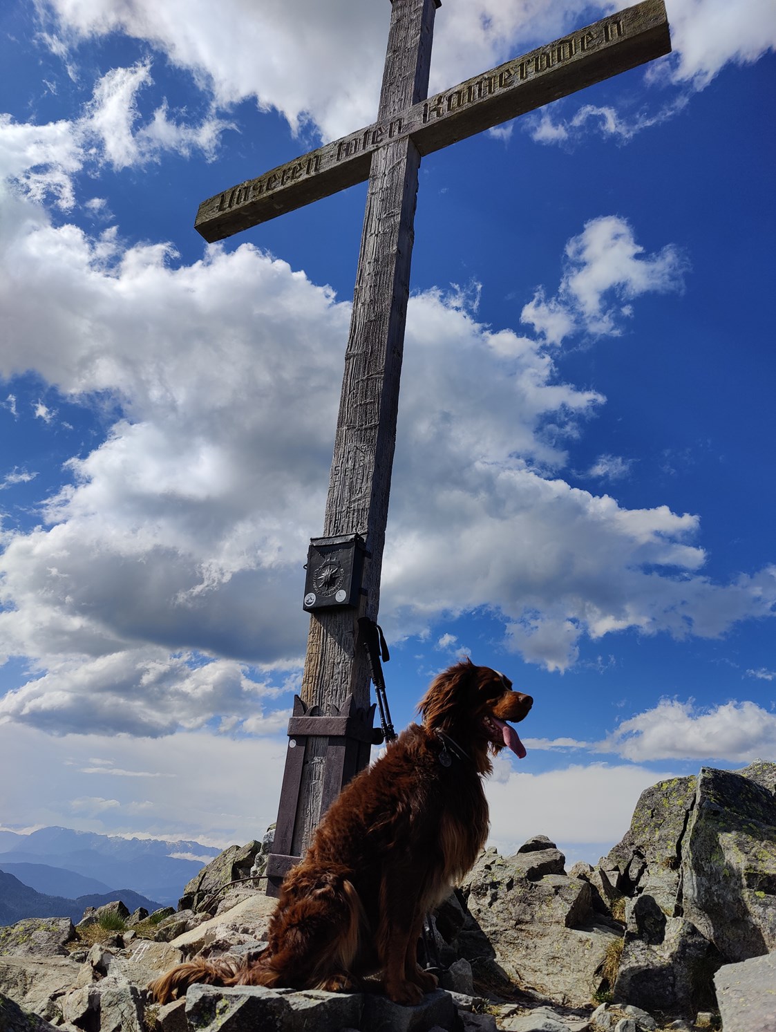 Urlaub-mit-Hund: Seekarspitze - Hotel Binggl Obertauern
